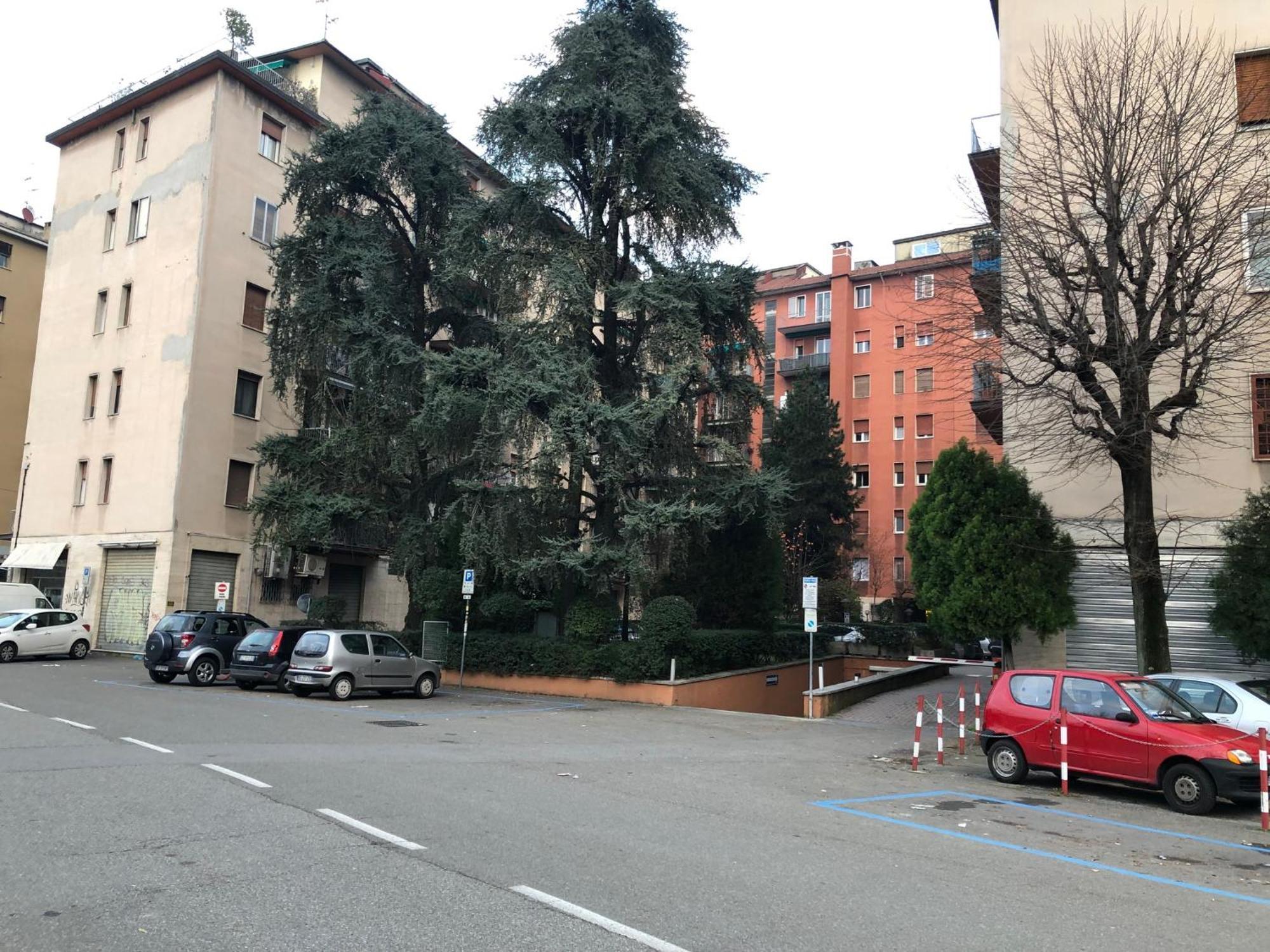 Tra Le Torri B&B - Ampia Stanza Privata In Appartamento Con Bagno Privato Accessibile Da Corridoio 볼로냐 외부 사진